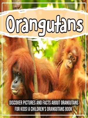 cover image of Orangutans